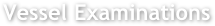 Vessel Examinations